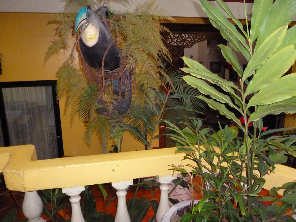 Hotel Don Carlos San Jose  Luaran gambar