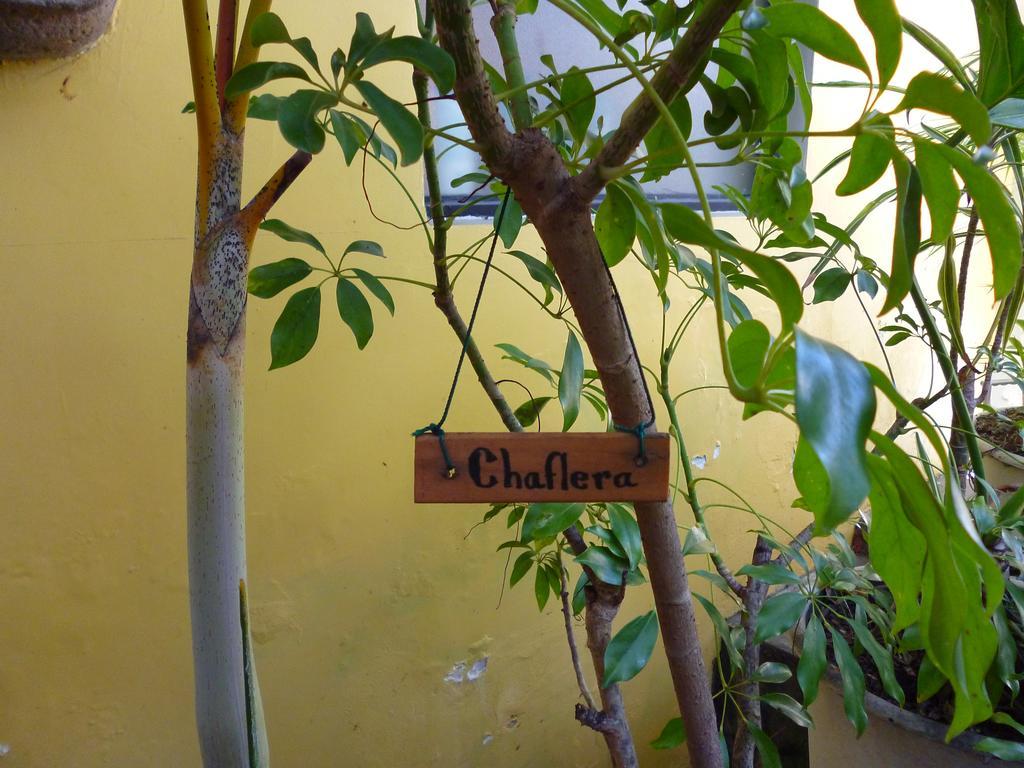 Hotel Don Carlos San Jose  Luaran gambar